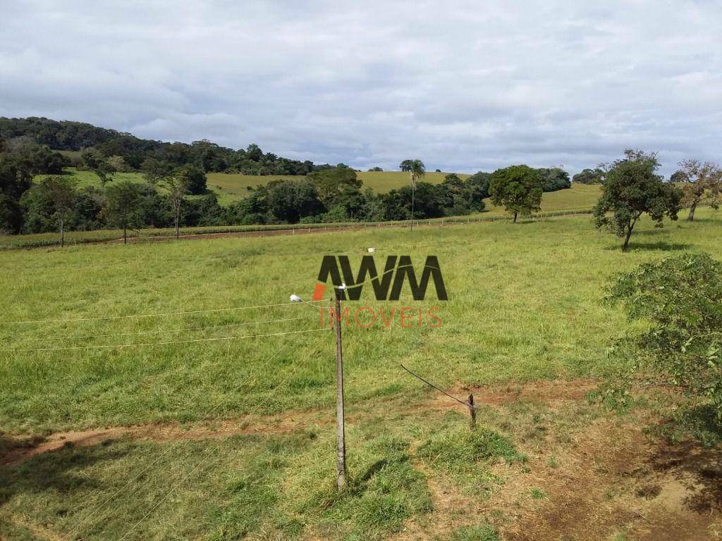 Fazenda à venda, 5008300M2 - Foto 8