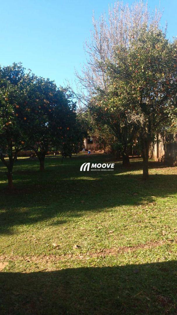 Casa, 4 quartos, 320 m² - Foto 5