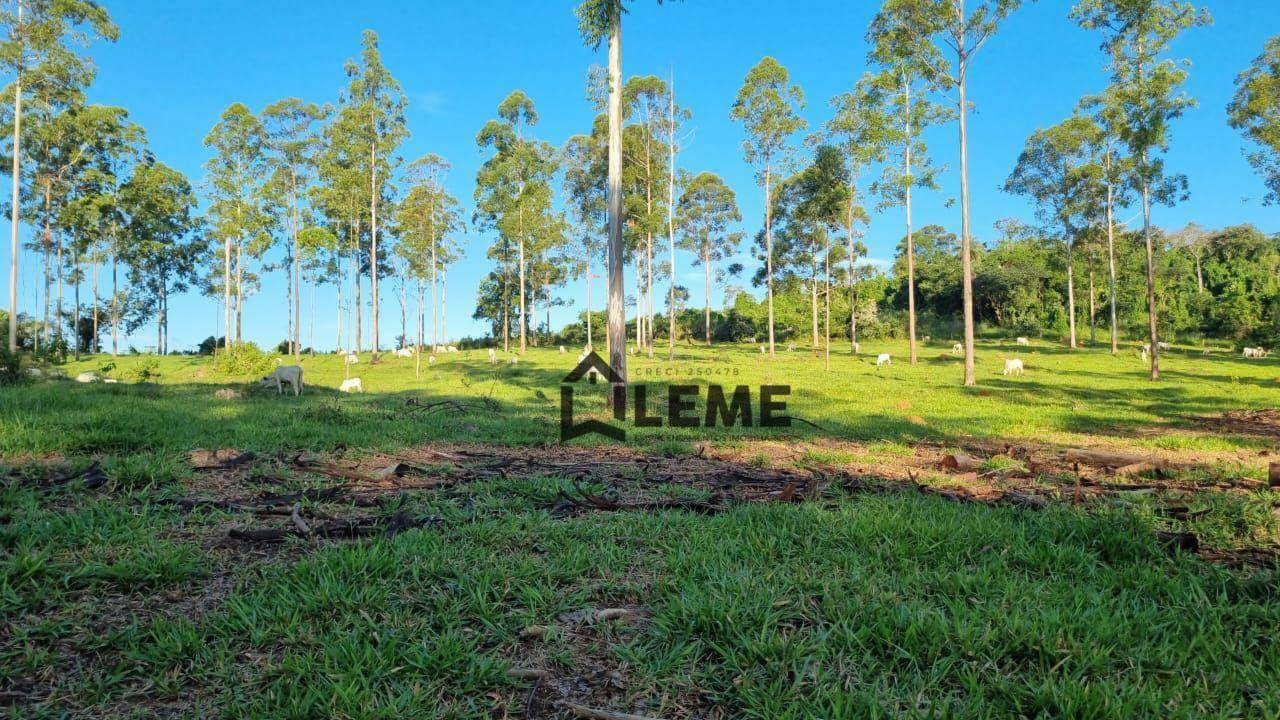Fazenda à venda, 1258400M2 - Foto 11