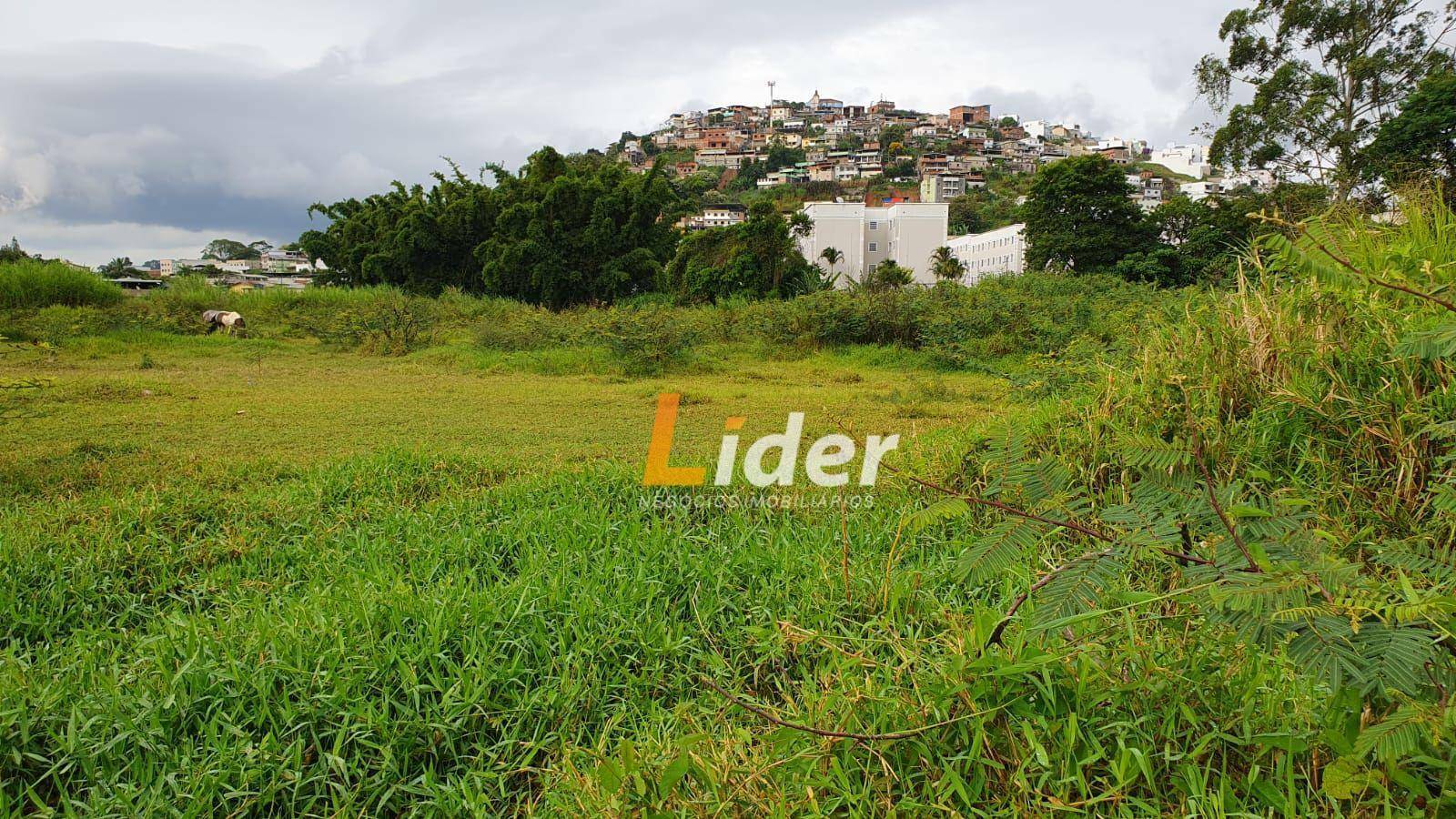 Terreno à venda e aluguel, 16000M2 - Foto 14