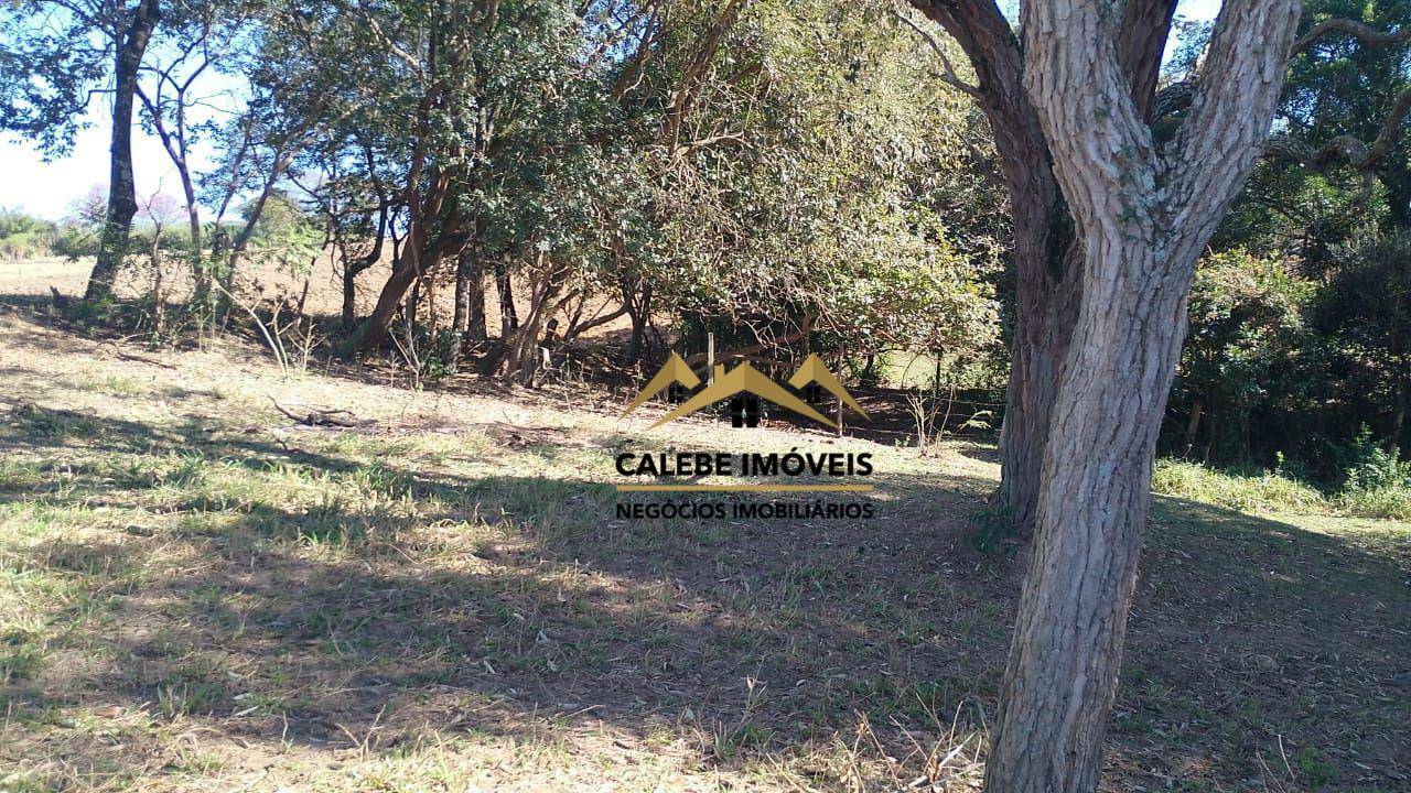 Chácara à venda com 1 quarto, 5000M2 - Foto 15
