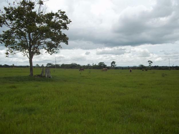 Terreno à venda, 196000M2 - Foto 1