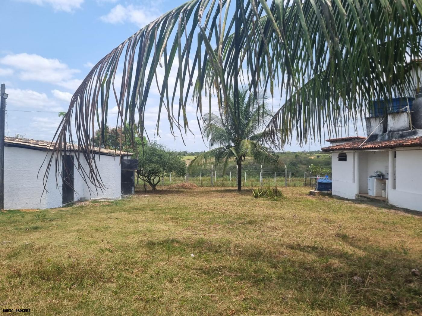 Fazenda à venda, 1000m² - Foto 51