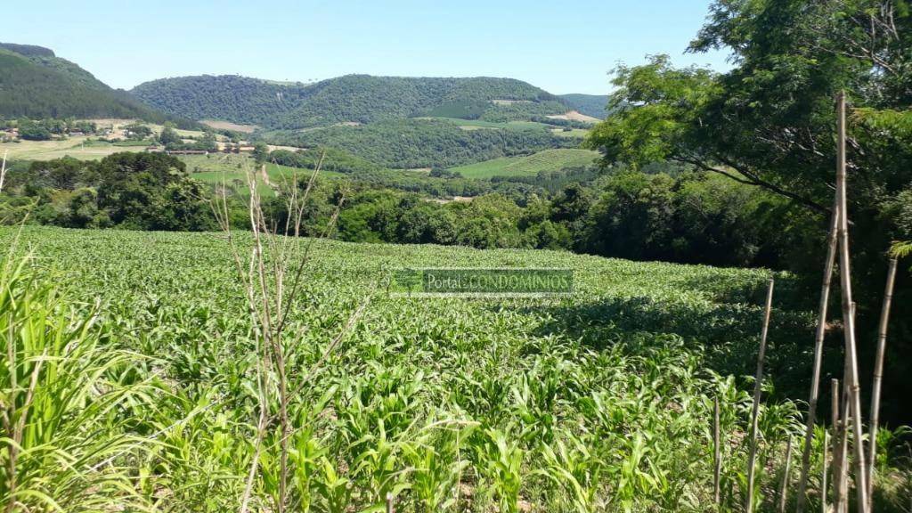 Terreno à venda, 82160M2 - Foto 2