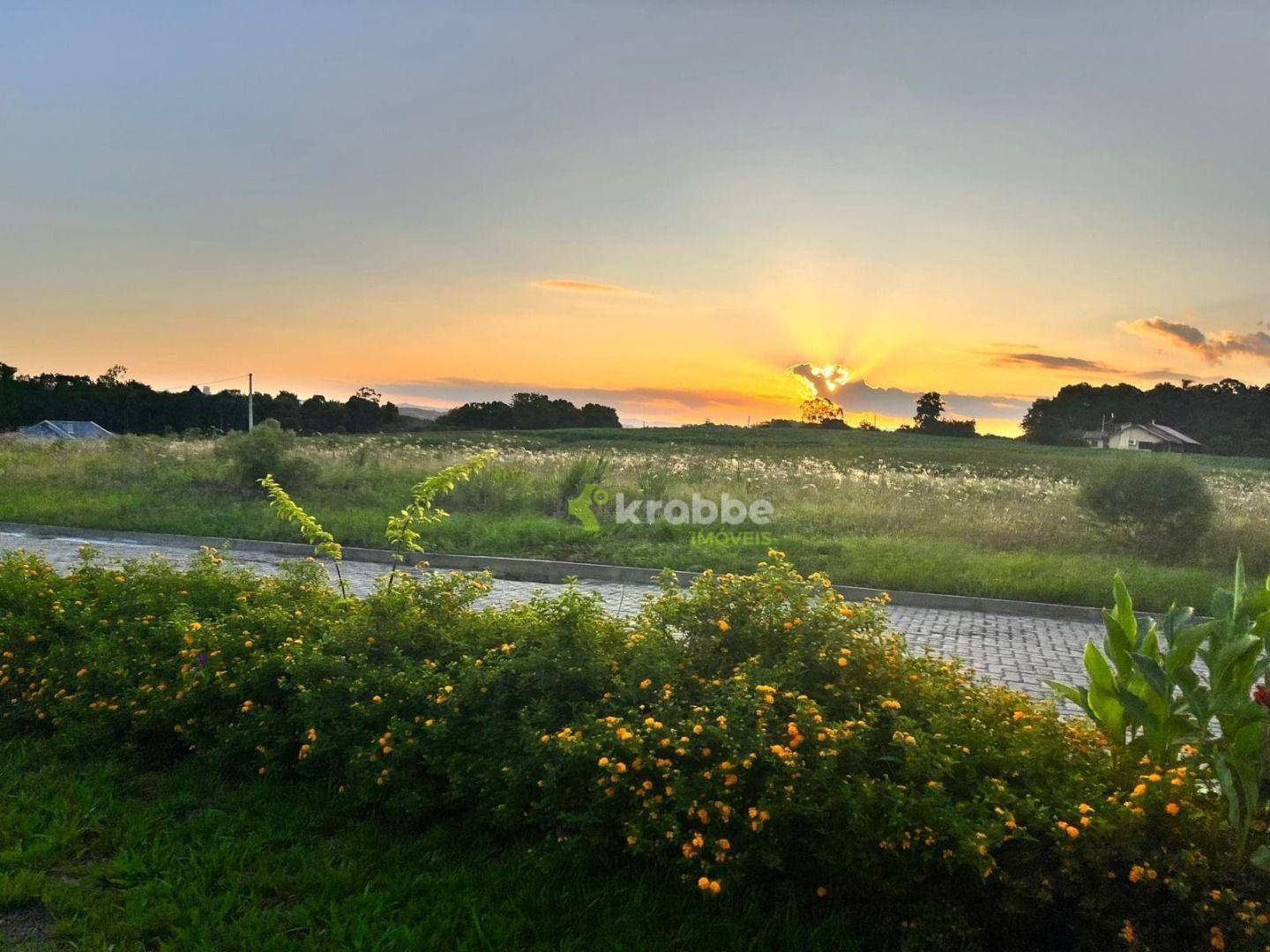 Loteamento e Condomínio, 539 m² - Foto 4