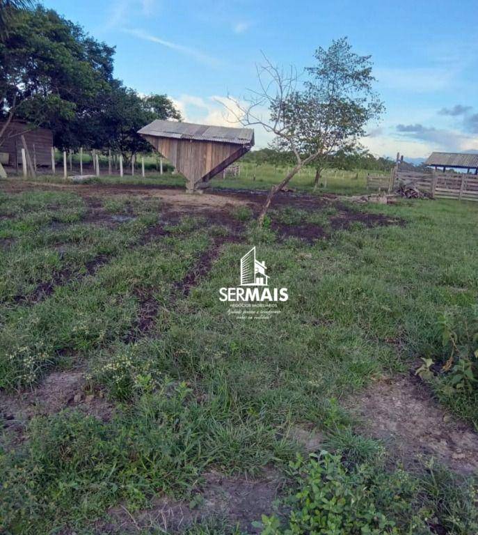 Sítio, 1 quarto, 80 hectares - Foto 3
