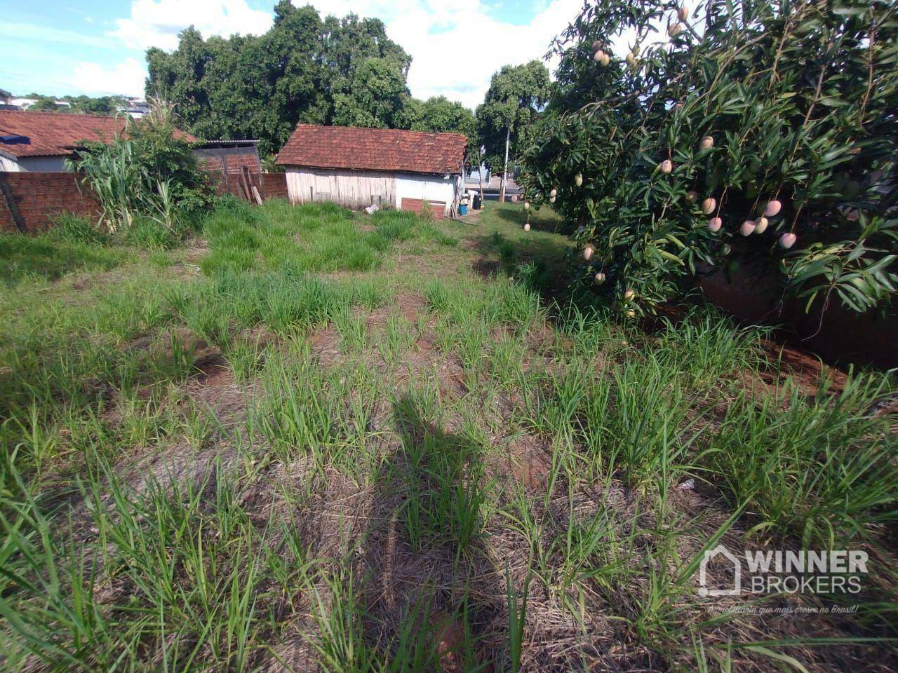 Terreno à venda, 600M2 - Foto 5