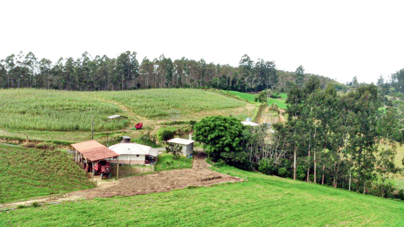 Fazenda à venda com 3 quartos, 205000m² - Foto 39