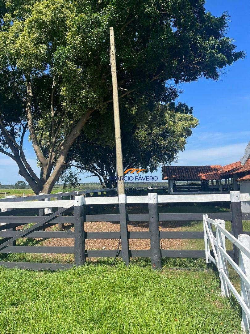 Fazenda, 322 hectares - Foto 4