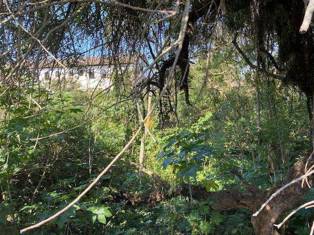 Terreno, 2000 m² - Foto 3