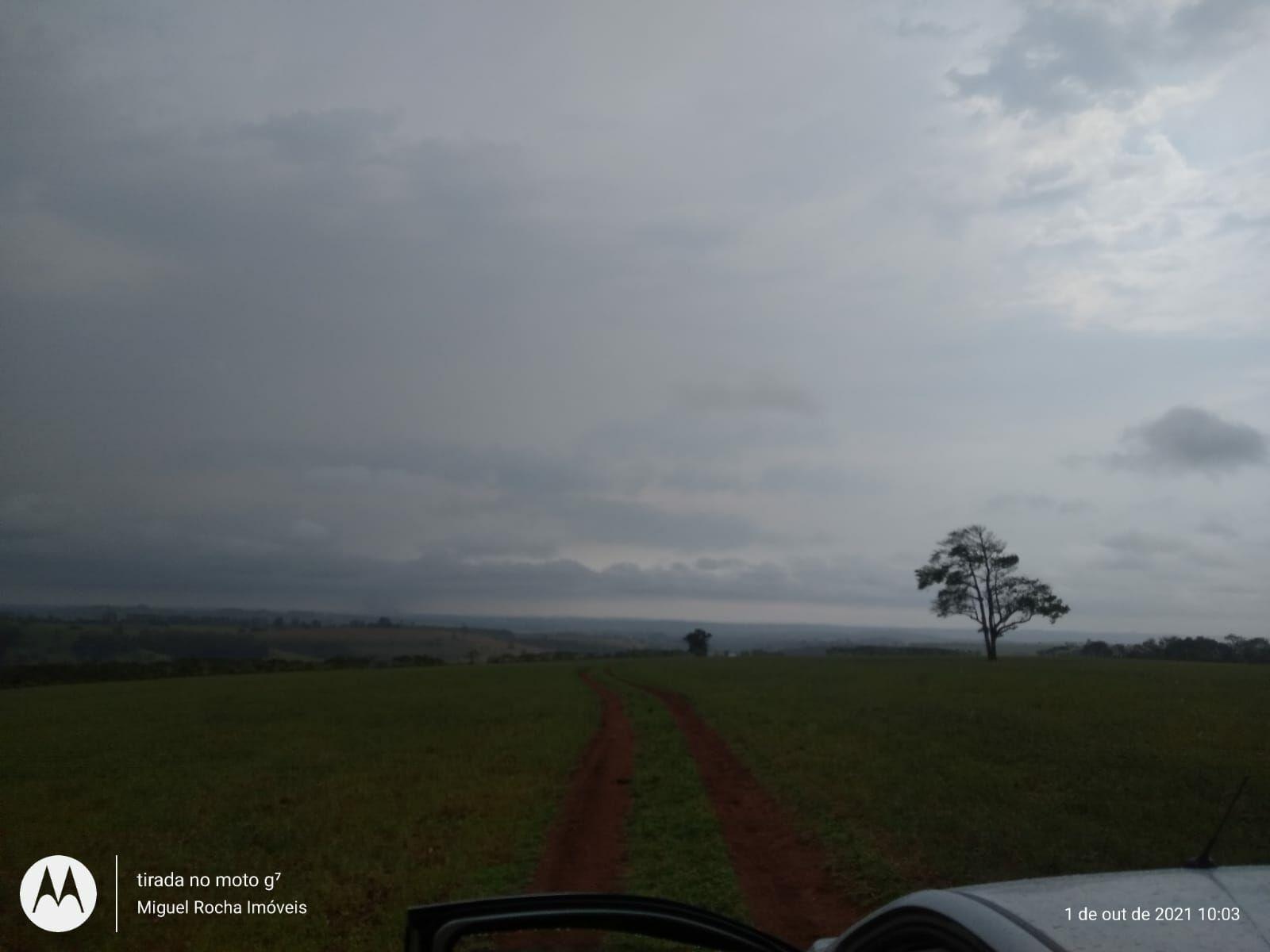 Fazenda à venda com 8 quartos, 3146000m² - Foto 19