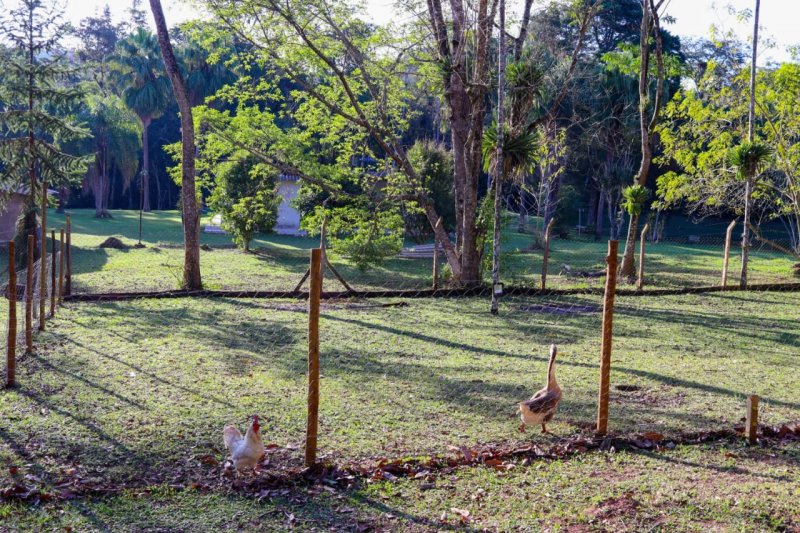 Fazenda à venda com 6 quartos, 80m² - Foto 26