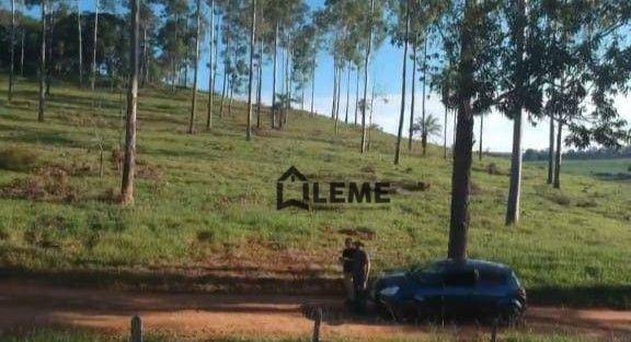 Fazenda à venda, 1258400M2 - Foto 2