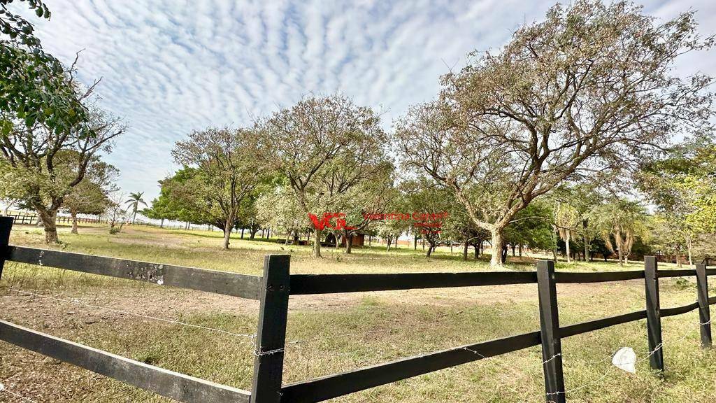 Haras e Área Rural Padrão à venda com 3 quartos, 169400M2 - Foto 5