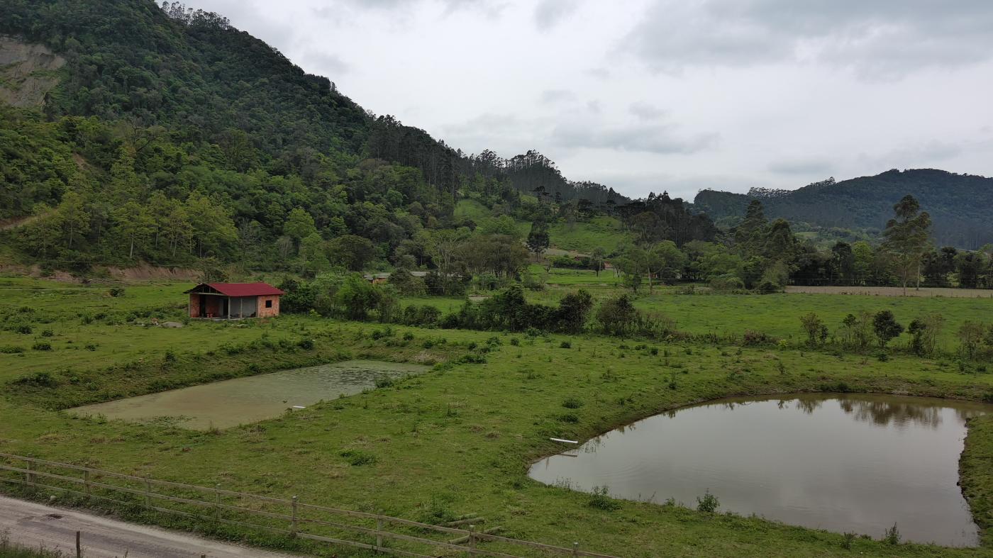 Fazenda à venda com 1 quarto, 10000m² - Foto 36