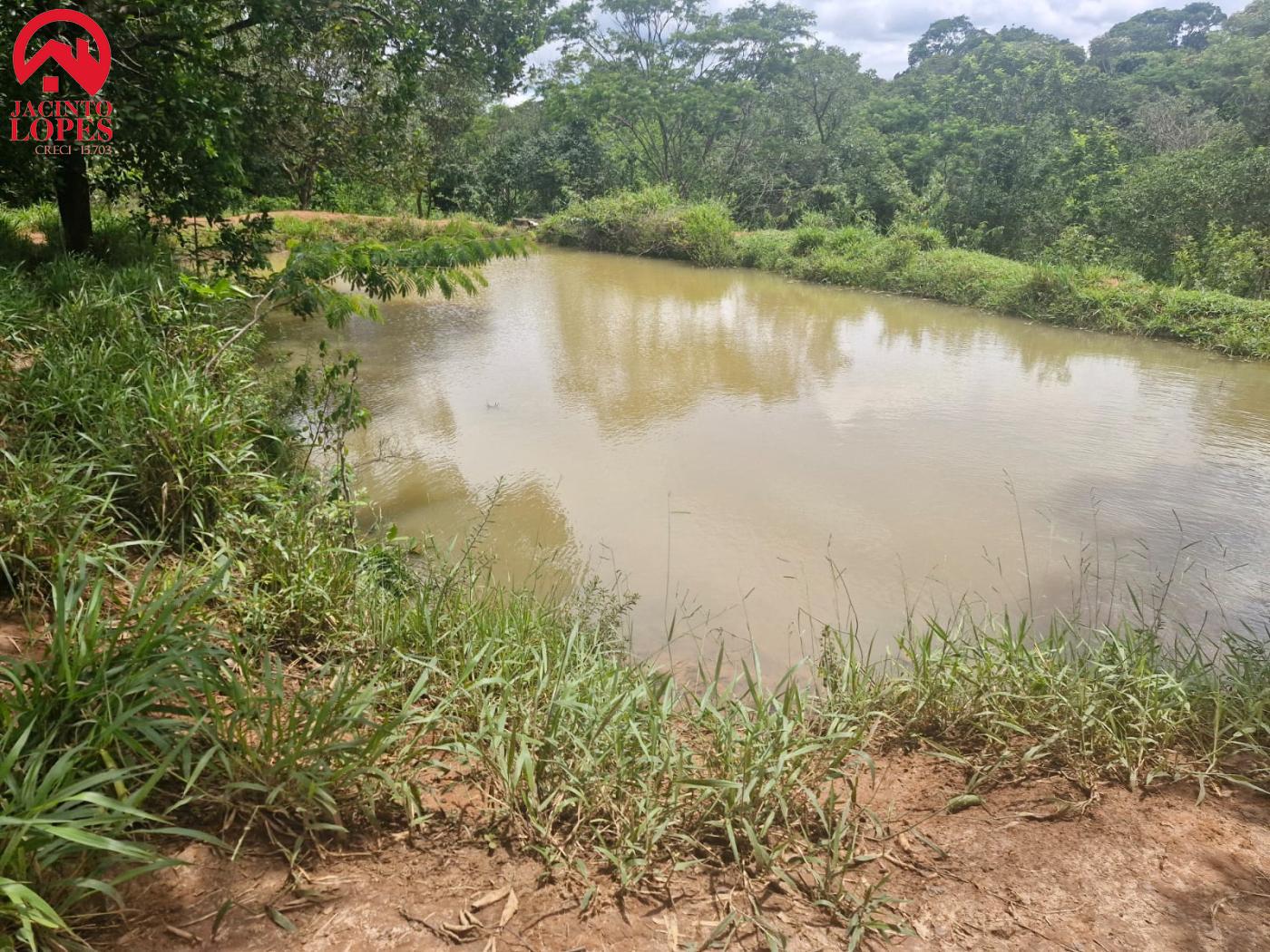 Fazenda à venda com 2 quartos, 120m² - Foto 62