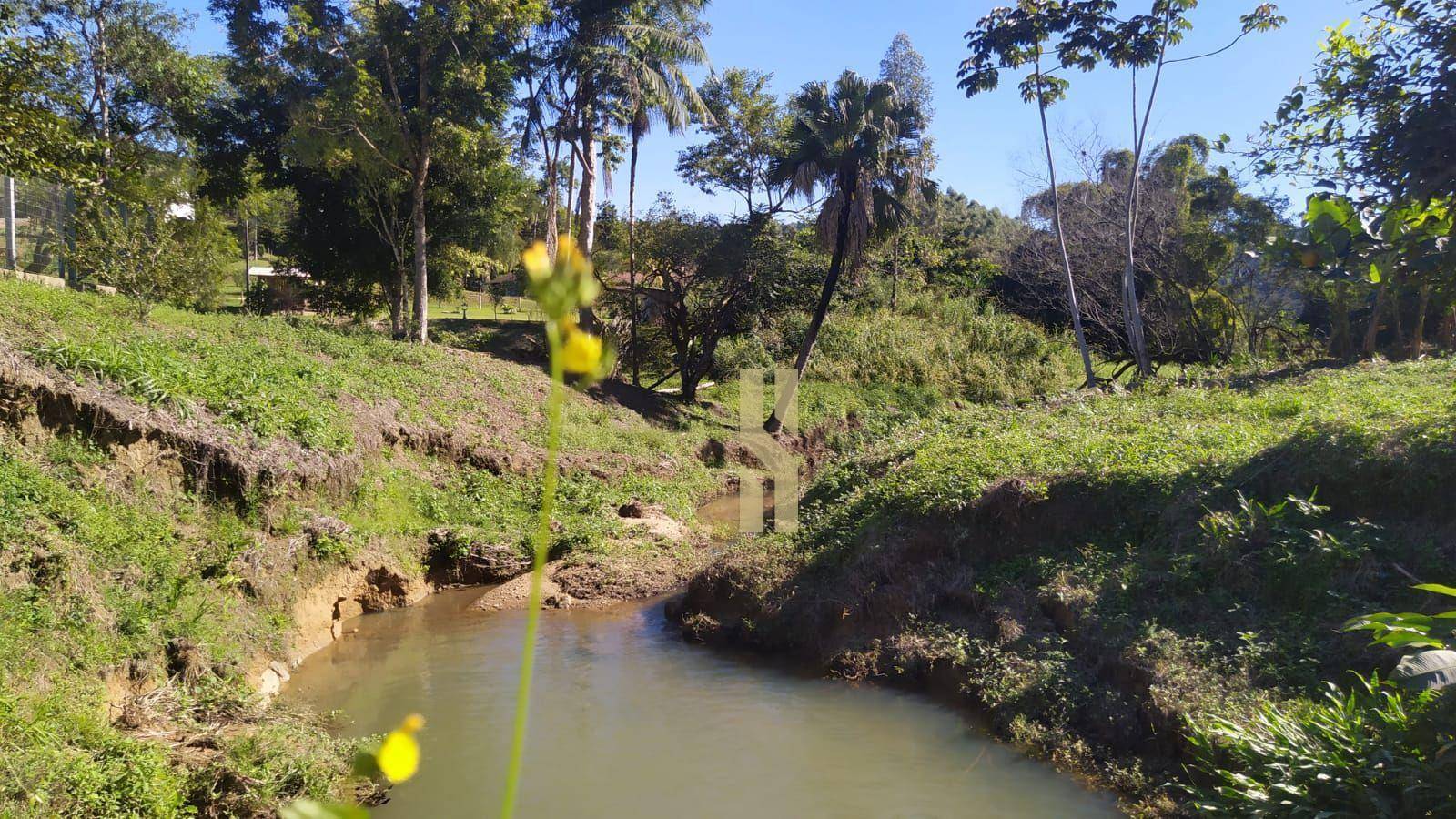 Chácara, 2 quartos, 3606 m² - Foto 3