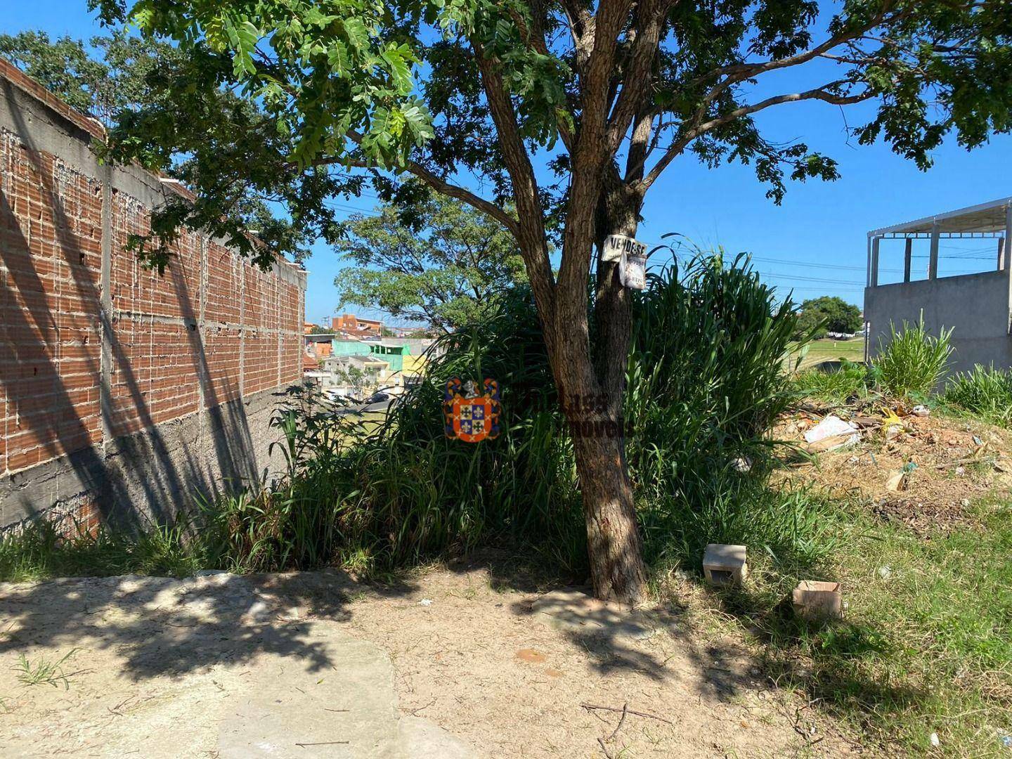 Terreno à venda, 250M2 - Foto 2