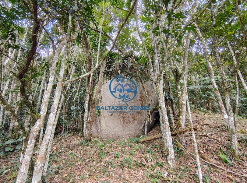Chácara à venda com 3 quartos, 57000m² - Foto 43