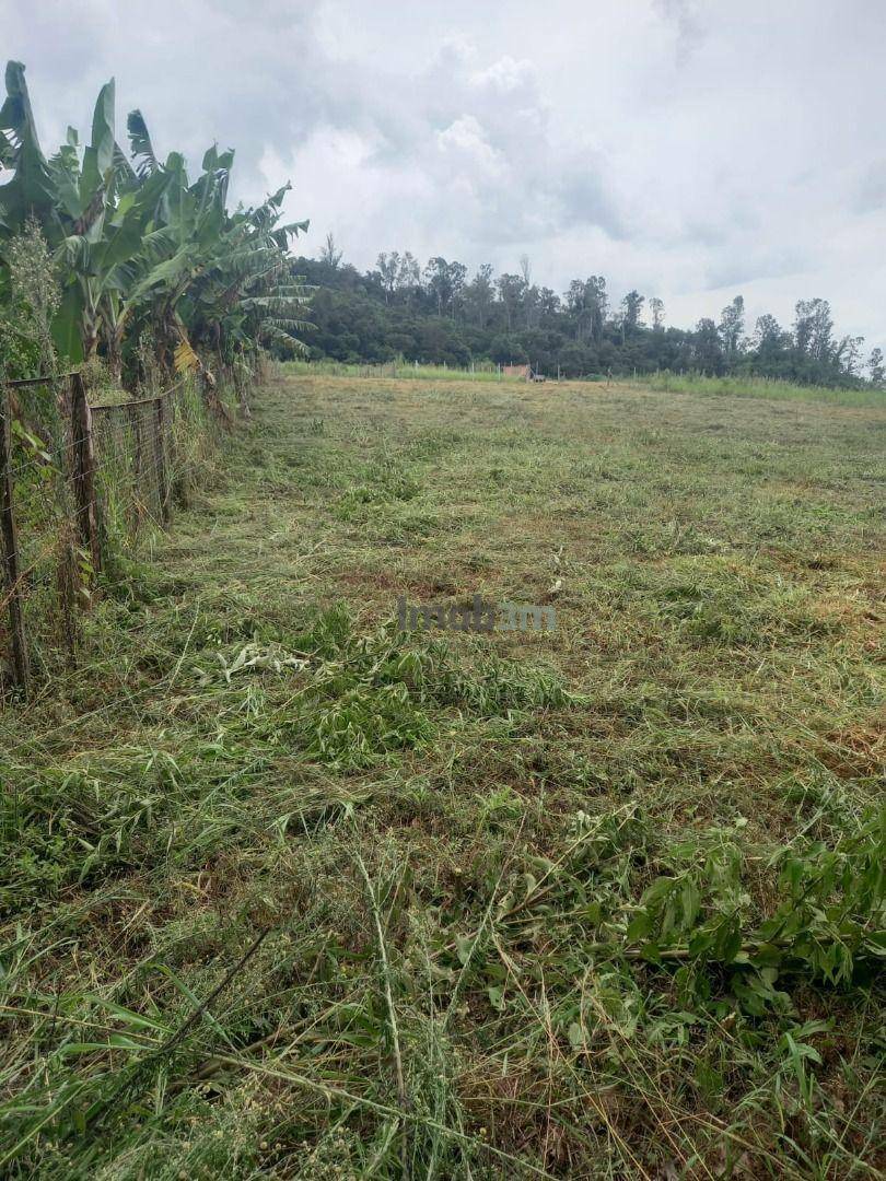 Terreno à venda, 1000M2 - Foto 5