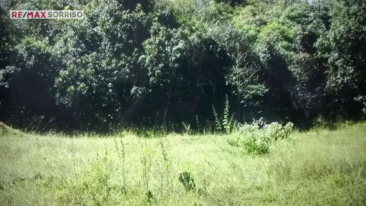 Fazenda à venda com 4 quartos, 242000M2 - Foto 3