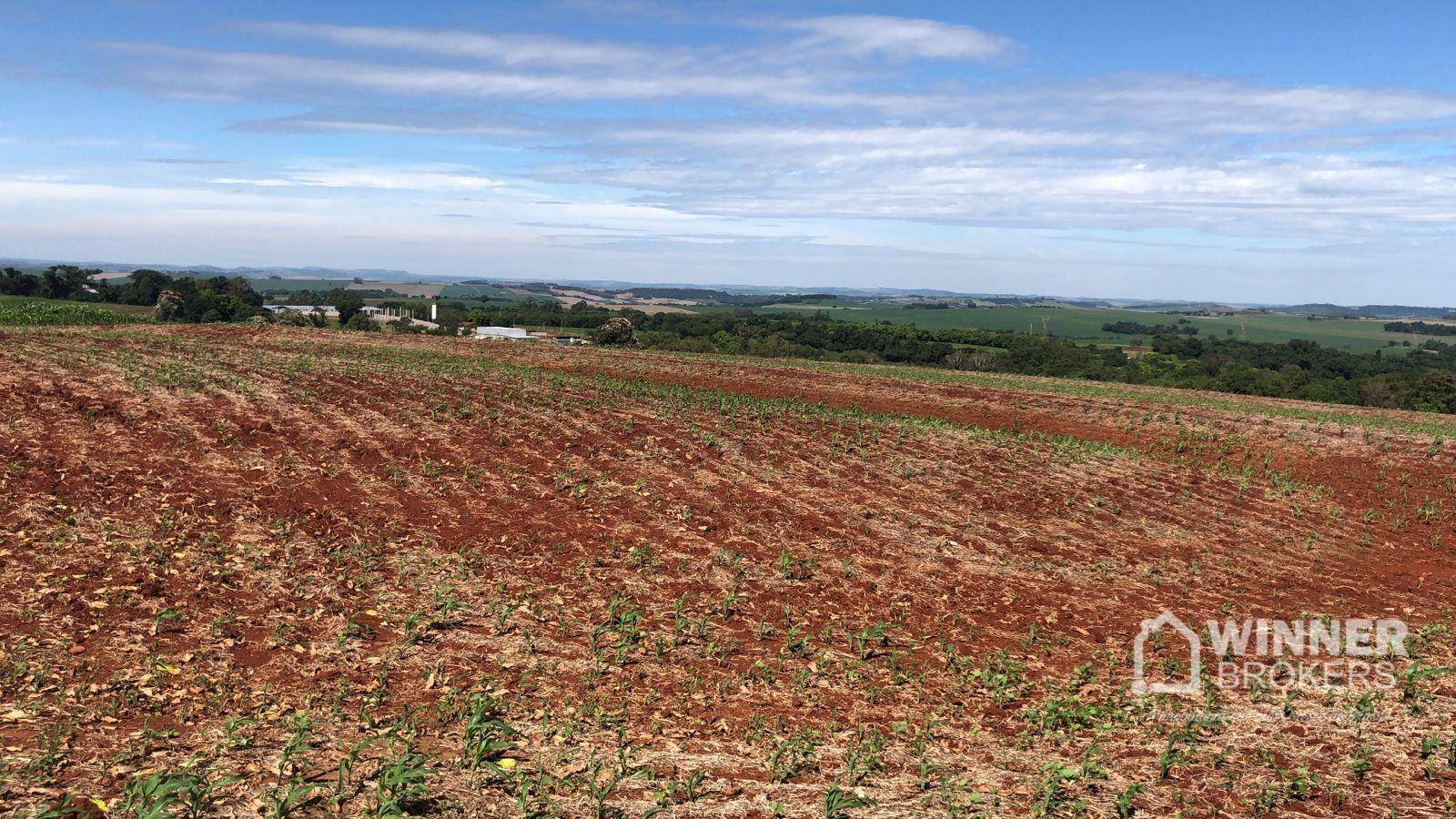 Terreno à venda, 1210000000M2 - Foto 2