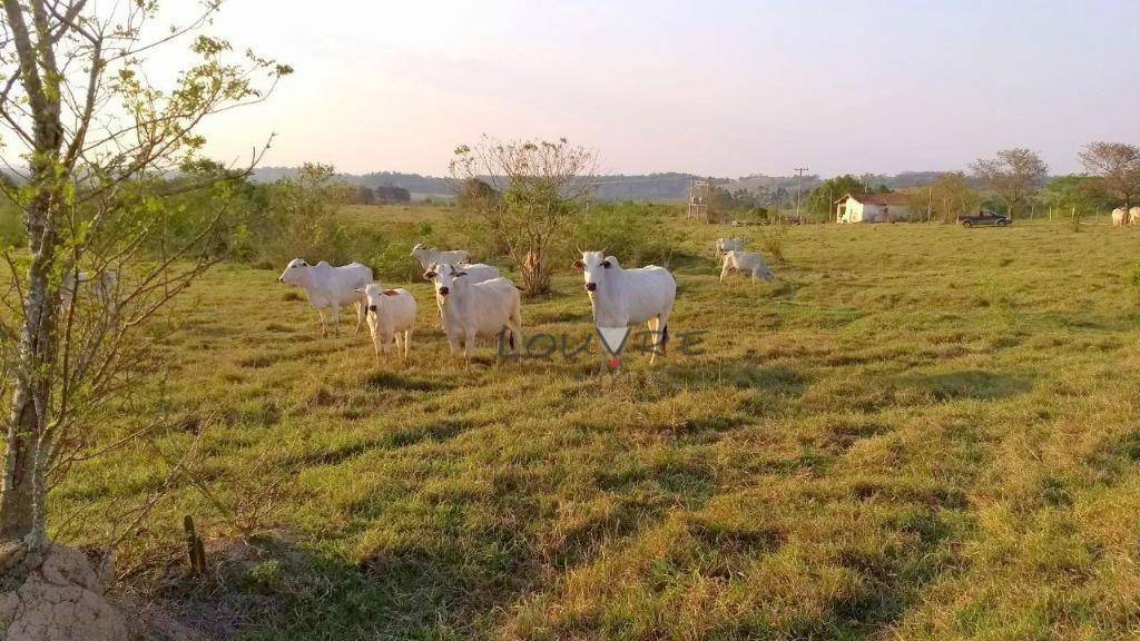 Terreno à venda, 250000M2 - Foto 17