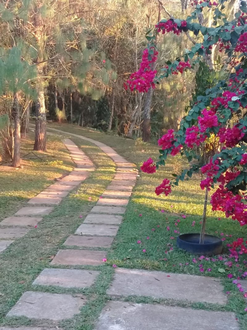 Fazenda à venda com 3 quartos, 100m² - Foto 1