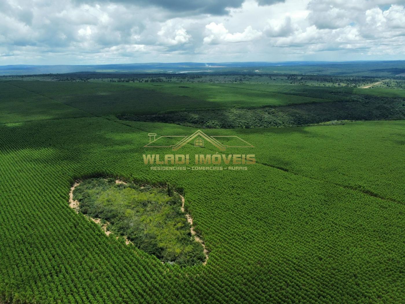 Fazenda à venda, 15764m² - Foto 10