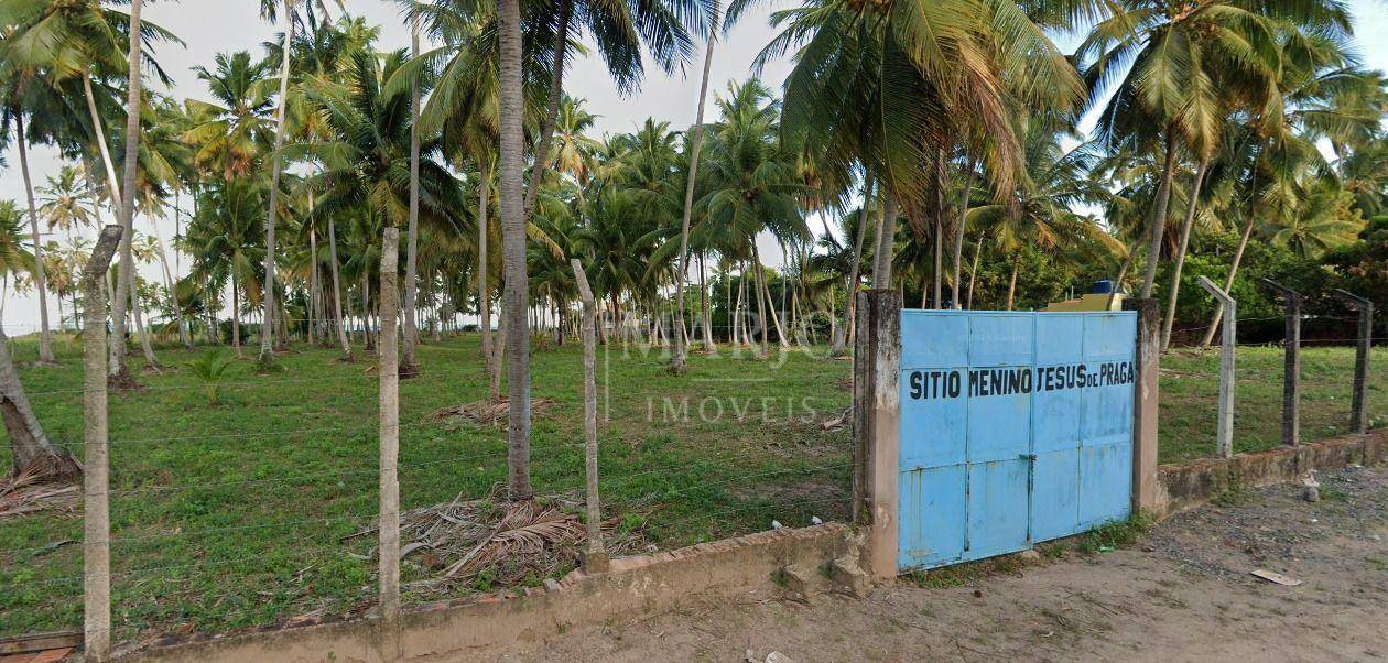 Terreno, 11 hectares - Foto 1