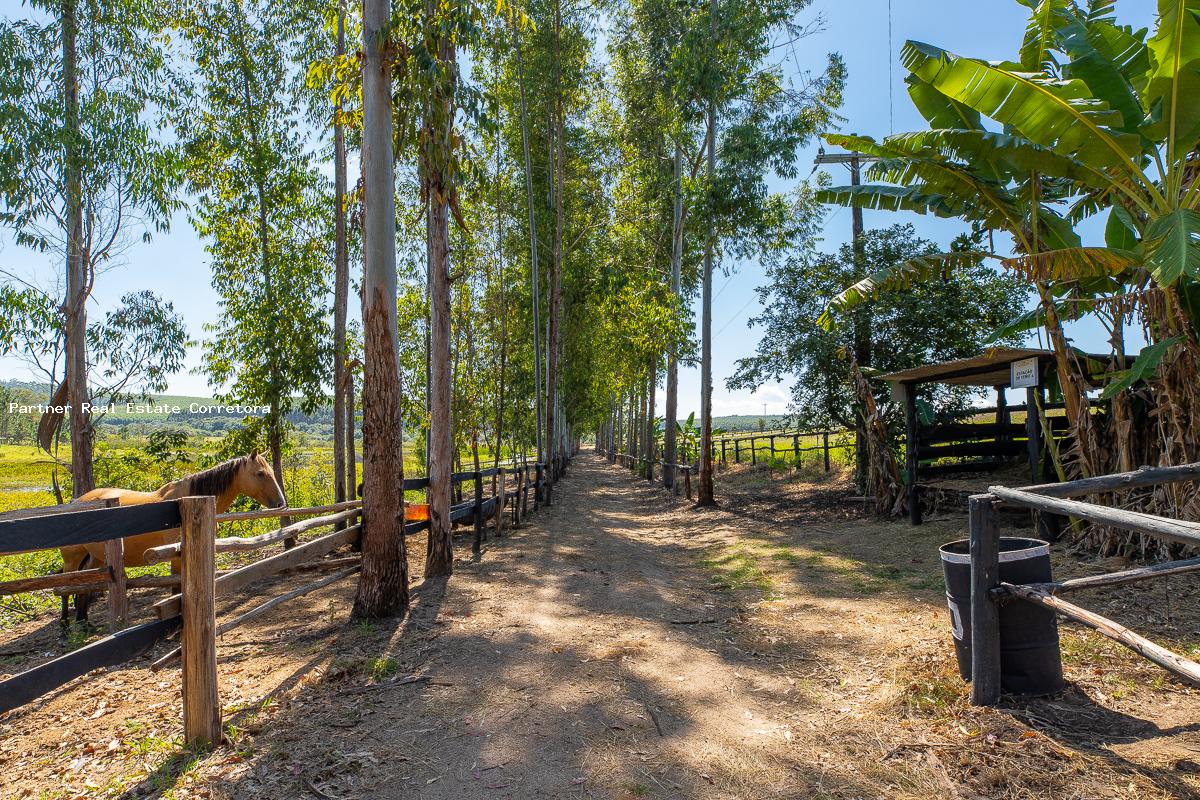 Fazenda à venda com 3 quartos, 133100m² - Foto 15