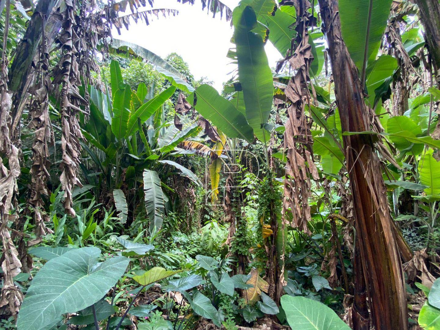 Loteamento e Condomínio à venda, 1000M2 - Foto 2