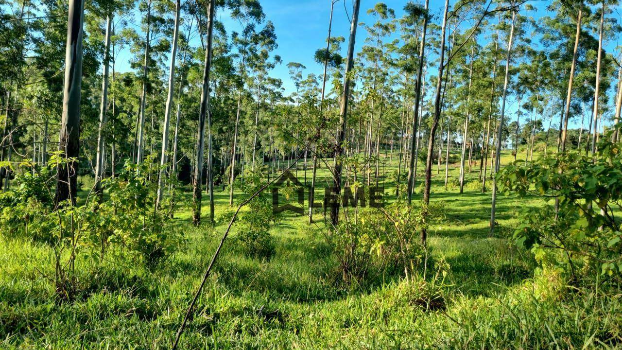 Fazenda à venda, 1258400M2 - Foto 16