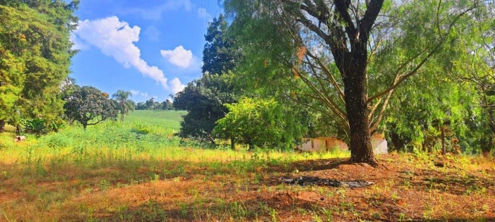 Terreno, 2 hectares - Foto 5