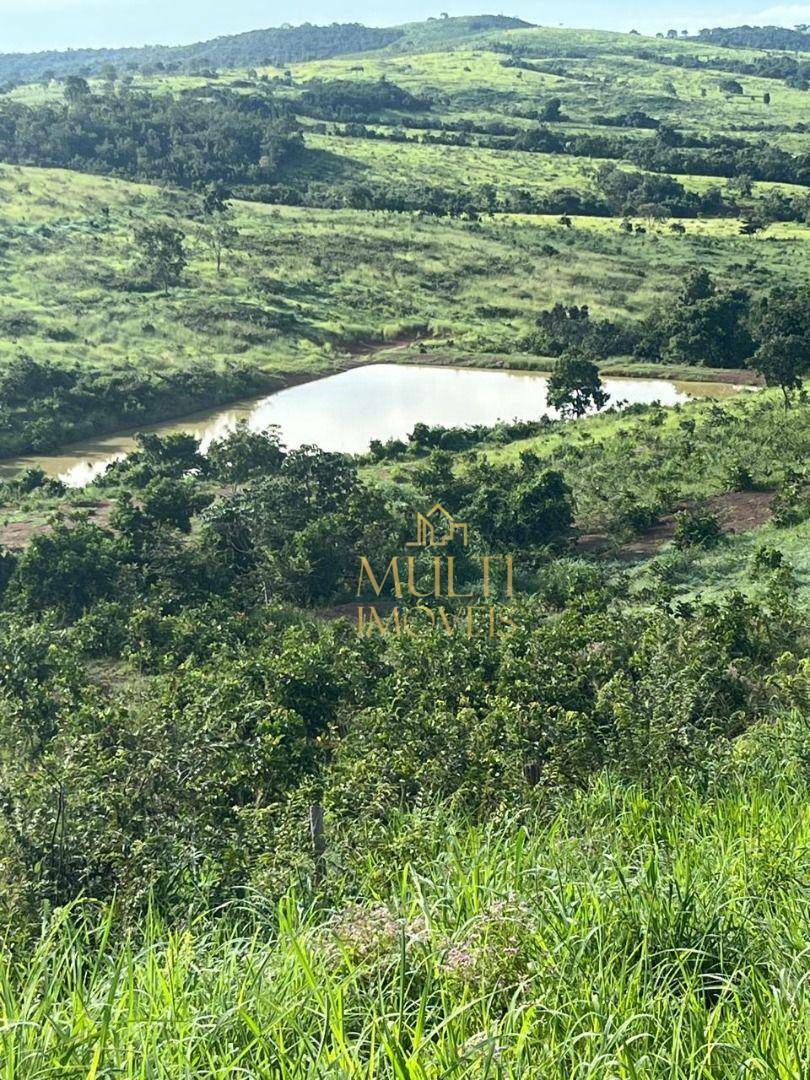 Fazenda à venda com 3 quartos, 10360000M2 - Foto 5