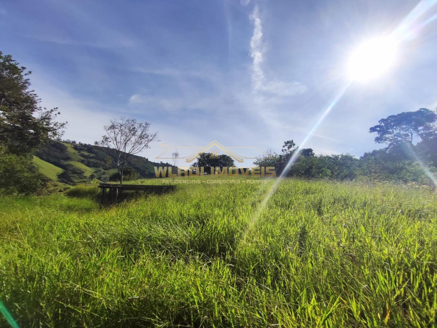 Fazenda à venda, 9000m² - Foto 23