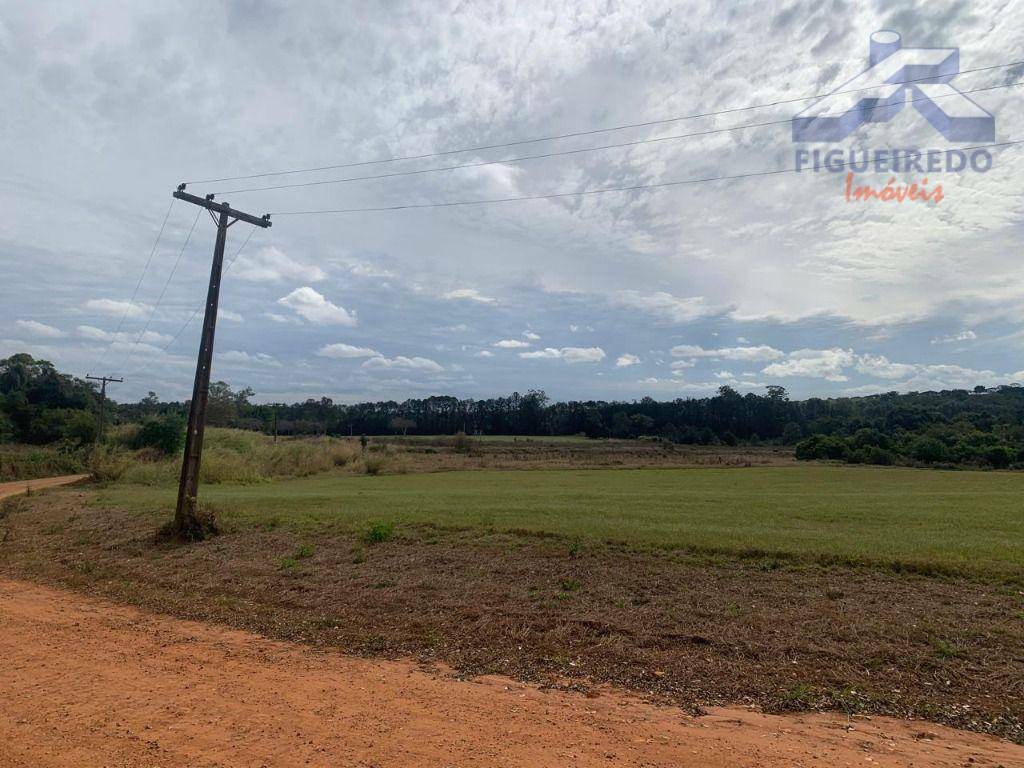 Sítio, 26 hectares - Foto 3