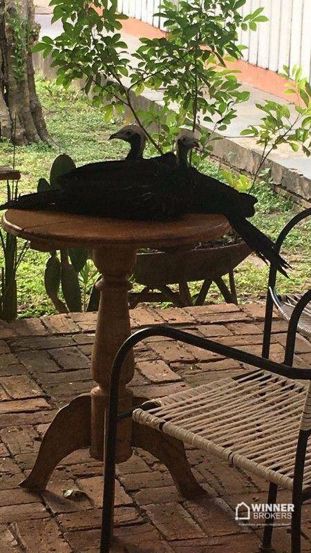 Flat/Apart Hotel, 20 quartos, 20000 m² - Foto 11