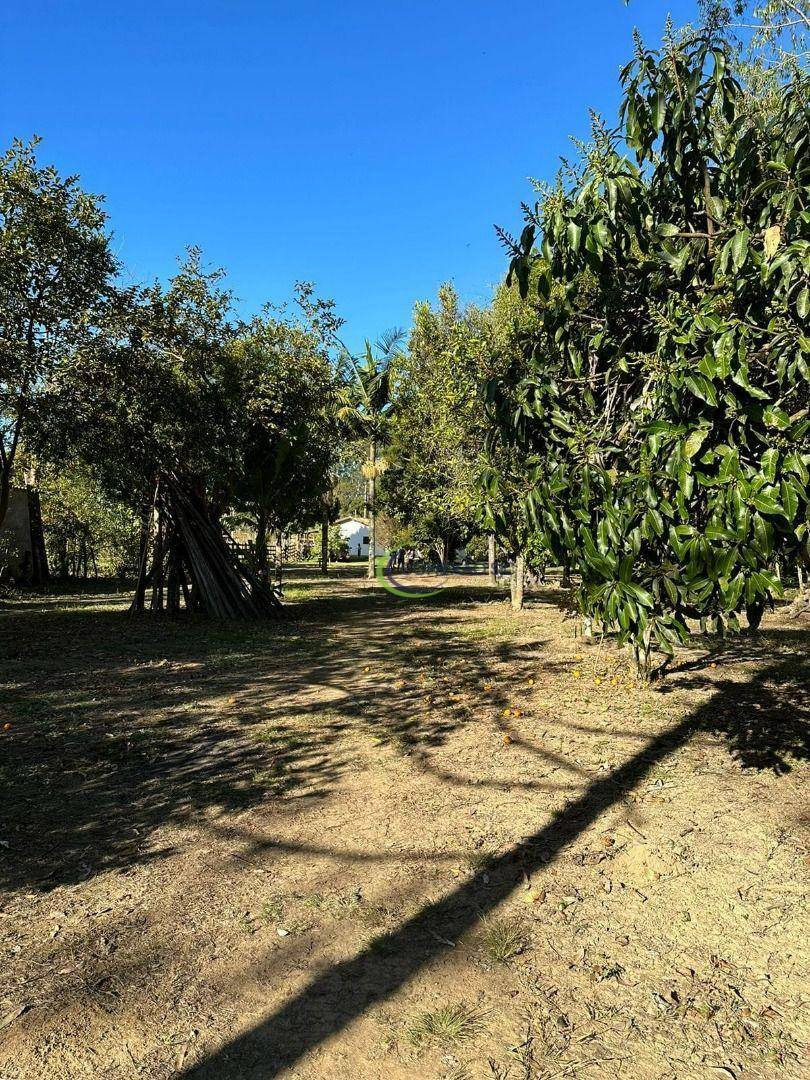Chácara à venda com 3 quartos, 5000M2 - Foto 16