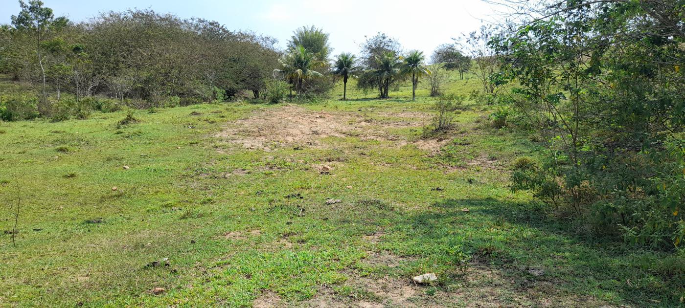 Fazenda à venda com 2 quartos, 20000m² - Foto 8