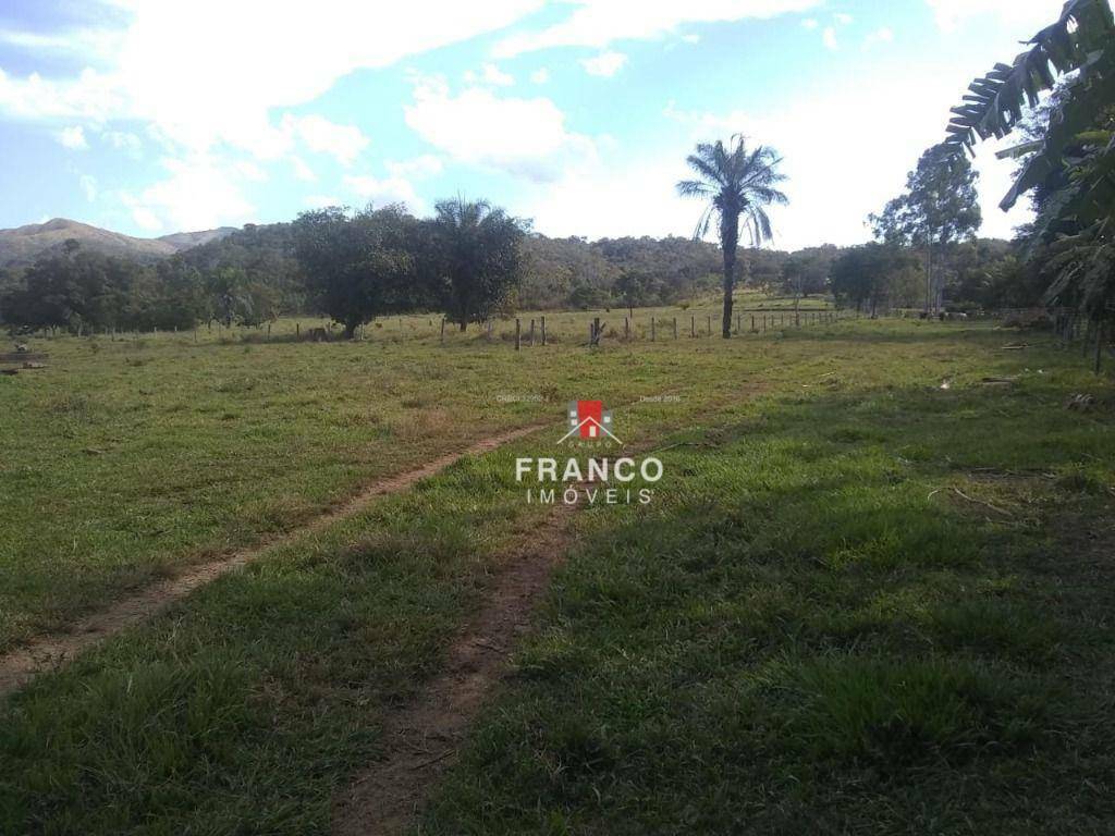 Fazenda à venda com 6 quartos, 350m² - Foto 10