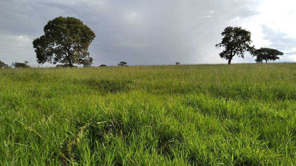 Fazenda à venda, 20m² - Foto 4