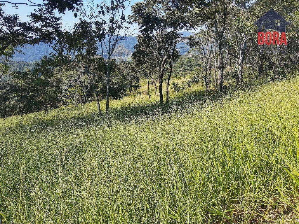 Terreno à venda, 1000M2 - Foto 2