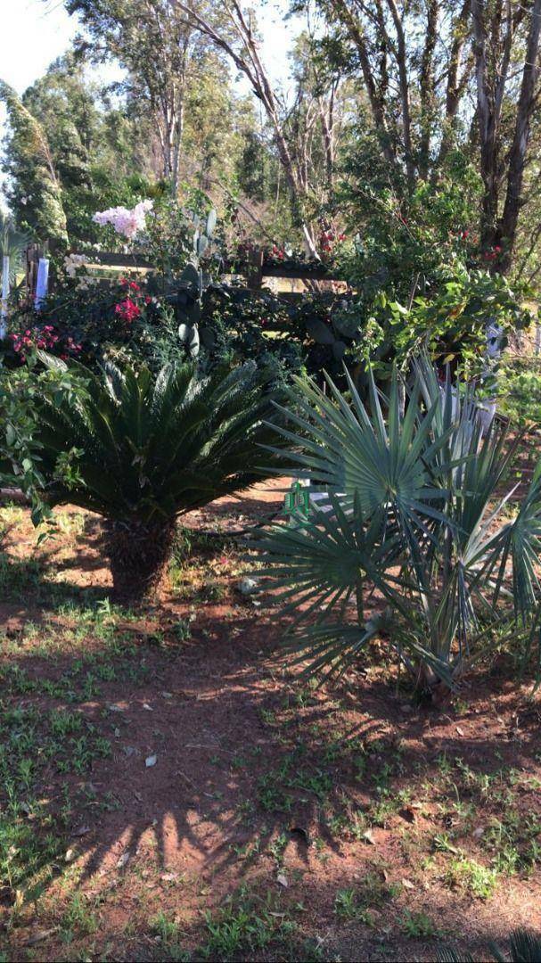 Sítio, 5 quartos, 19 hectares - Foto 27