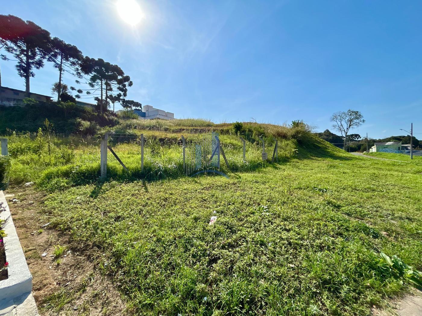 Terreno à venda, 1566m² - Foto 3