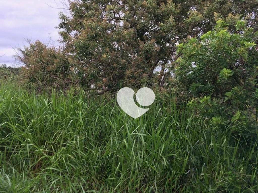 Loteamento e Condomínio à venda, 3200M2 - Foto 2