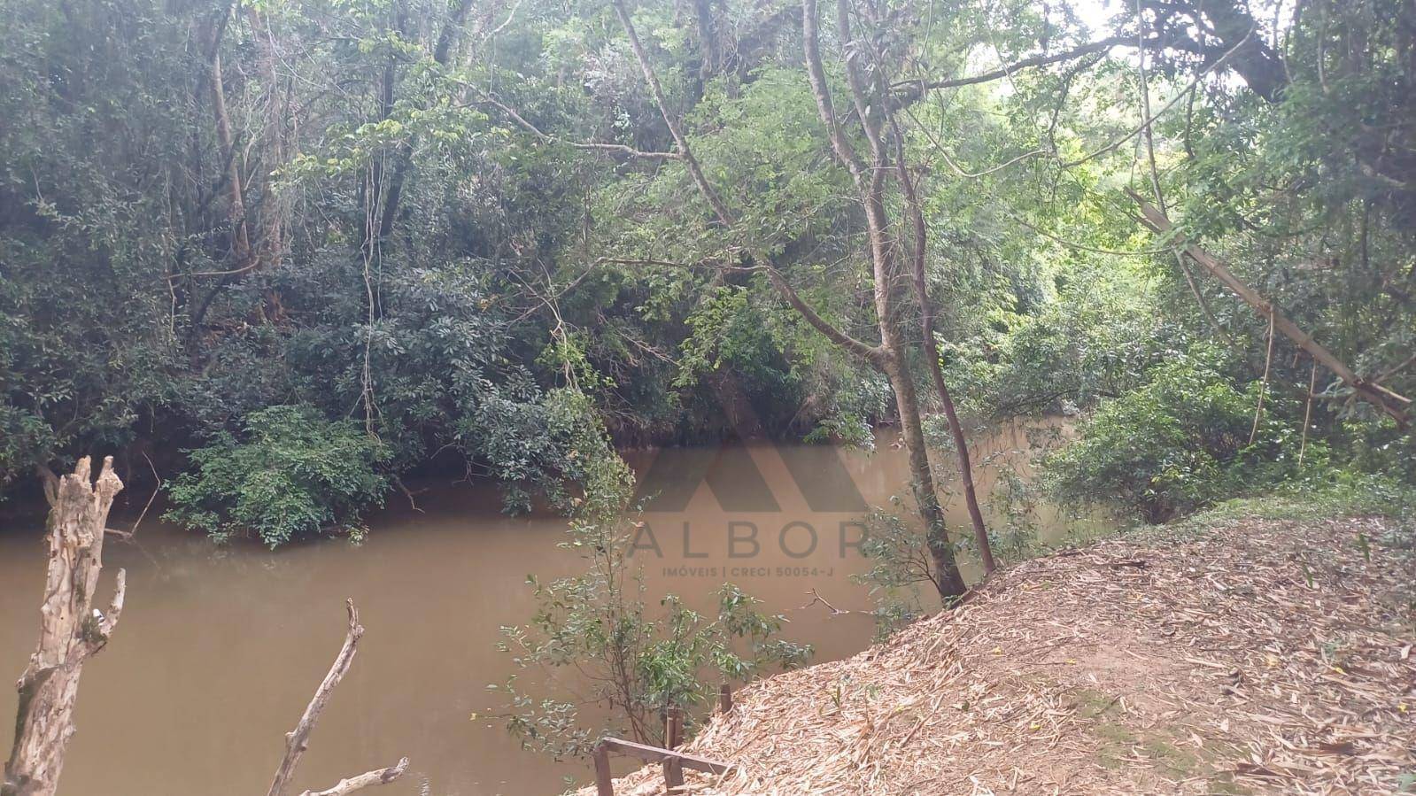 Terreno, 4 hectares - Foto 3