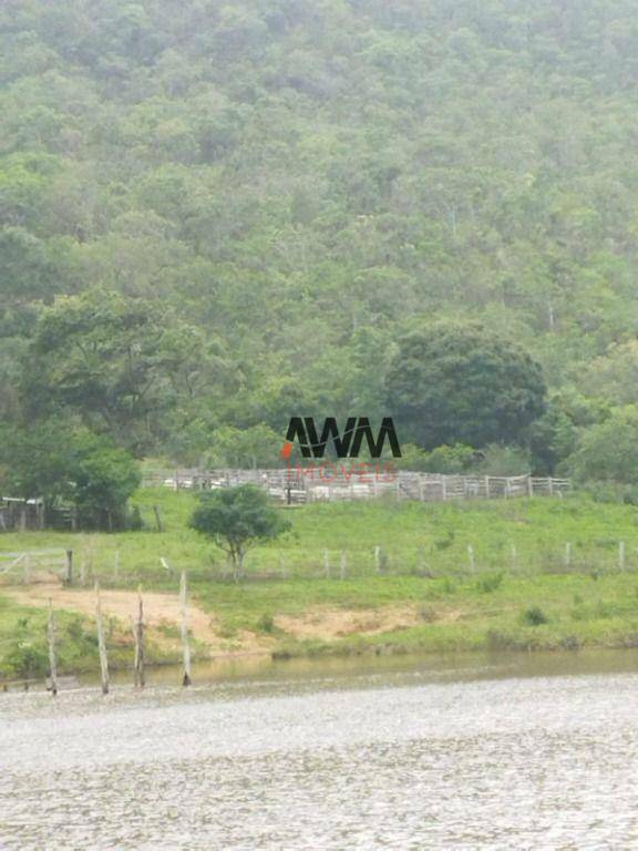 Fazenda-Sítio-Chácara, 697 hectares - Foto 4