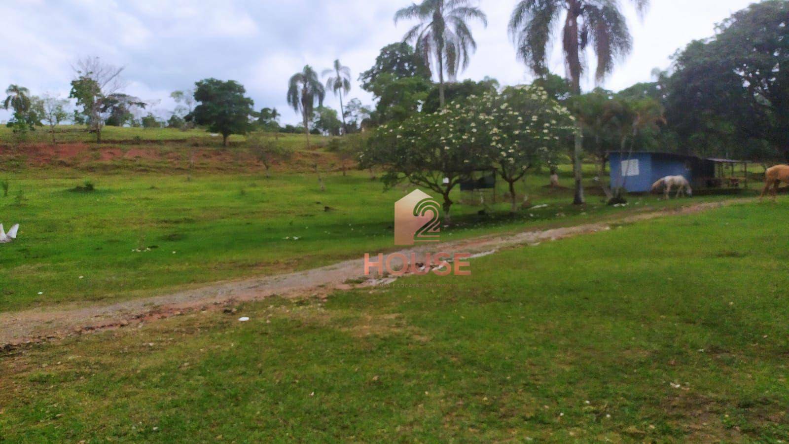 Fazenda à venda com 2 quartos, 133000M2 - Foto 36