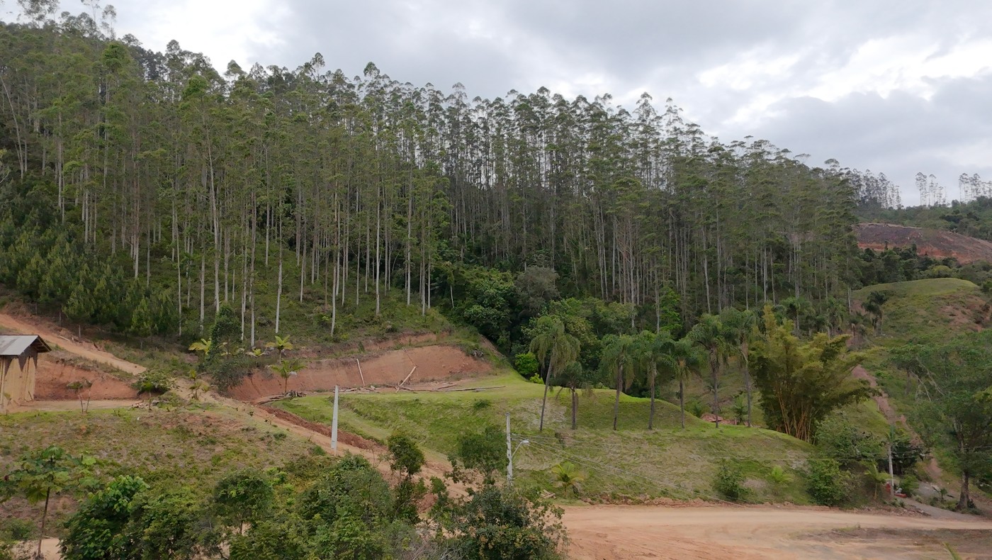 Terreno, 5428 m² - Foto 22